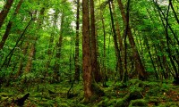 世界拳击职业联赛赛季后球员就业扶持项目对接企业成果公示，职业拳击世界冠军