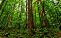 世界拳击职业联赛赛季后球员就业扶持项目对接企业成果公示，职业拳击世界冠军