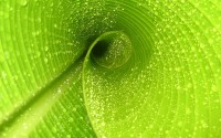 世界举重锦标赛官方纪念品上架销售，世界举重锦标赛几年一次