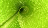 世界举重康复示范基地技术升级与维护手册修订发布，世界举重比赛